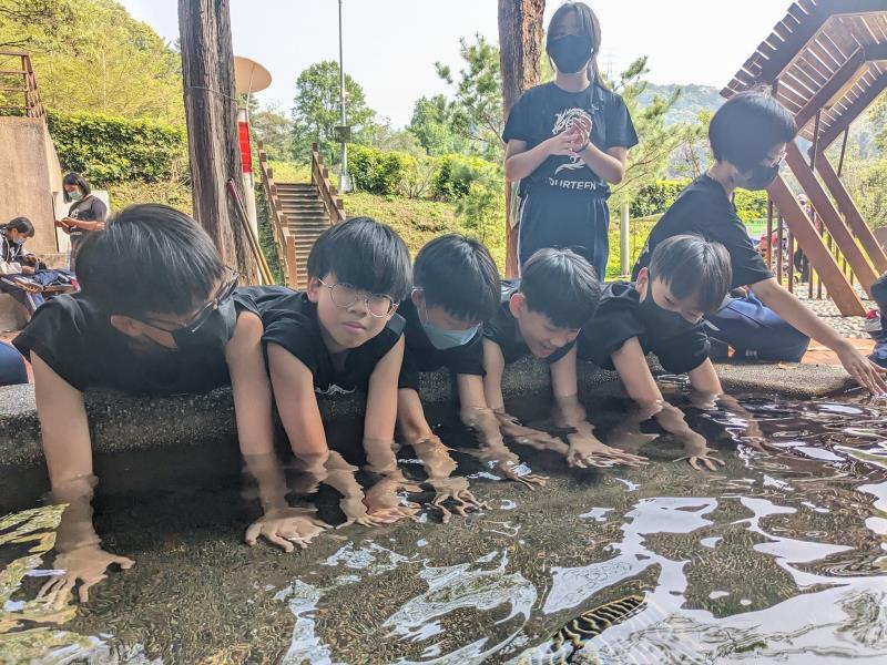 臺中市大甲區大甲國民中學校友會